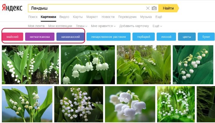 Yandex resimlerini aramak için filtreler