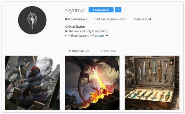 Skyrim Instagram hesabı