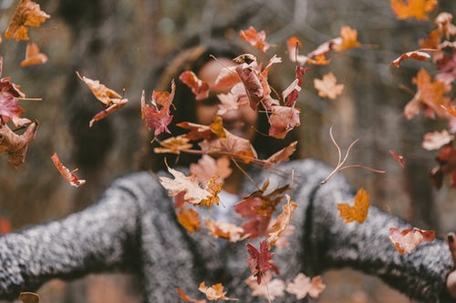 instagram için sonbahar fotoğraf fikirleri - bir kız ormanda yaprakları atar