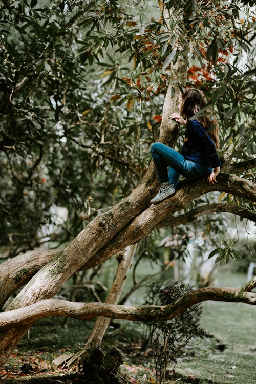 instagram için sonbahar fotoğraf fikirleri - bir kız bir ağaç üzerinde