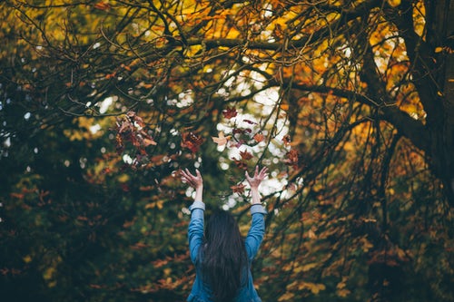 instagram için sonbahar fotoğraf fikirleri - ormandaki yaprakları atar