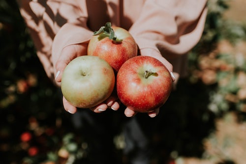Instagram için sonbahar fotoğraf fikirleri - ellerde elma