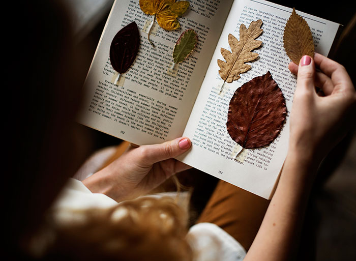 Instagram için sonbahar fotoğraf fikirleri - bir kitapta kuru yapraklar