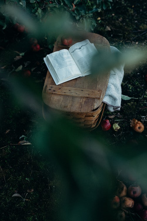 Instagram için sonbahar fotoğraf fikirleri - piknik kitabı